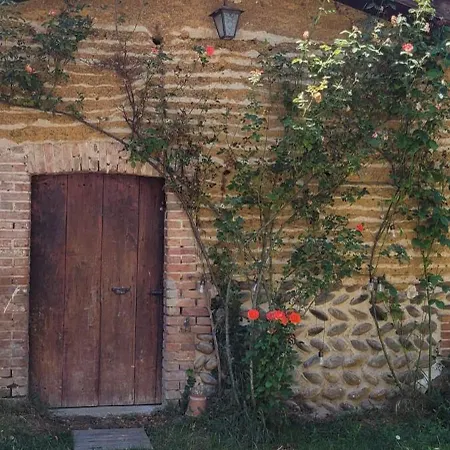 Ecrin De Verdure